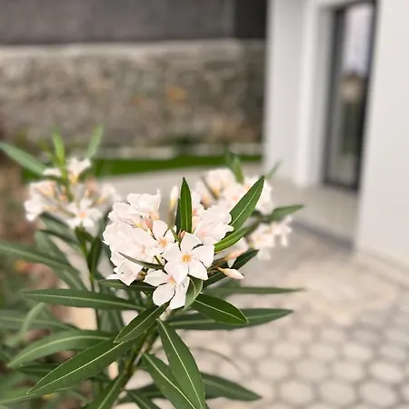 Dona I At Botanical Garden Apartment