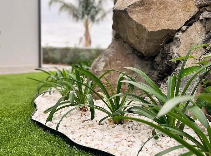 Dona I At Botanical Garden * Funchal (Madeira)